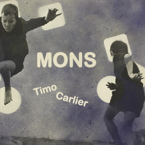 Sunny but Wildly Day