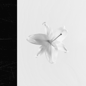 Tool zur Realisierung von weißem Rauschen