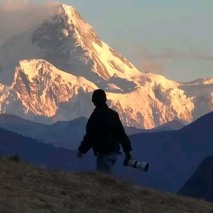 折断玫瑰（原唱）