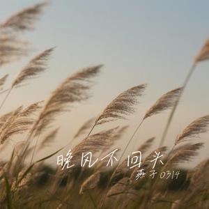 晚风不回头
