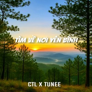 TVNYB