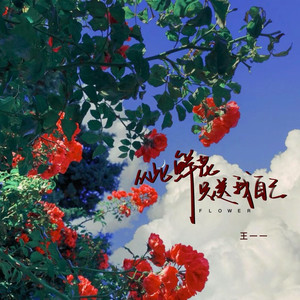 从此鲜花只送我自己