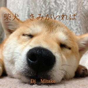 柴犬 きみがいれば