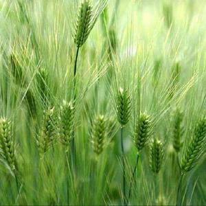 偷走的夏天__异彩流年