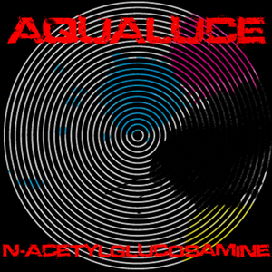 N-Acetylglucosamine (Monosaccharides Remix)