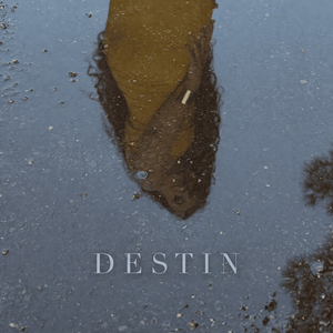 Destin