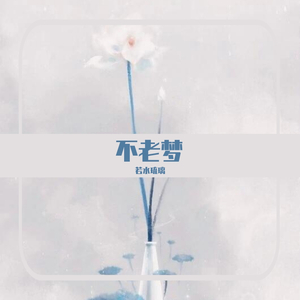 不老梦