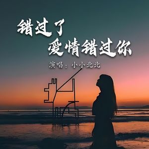 错过了爱情错过你