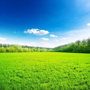 师法浪粉开（6）