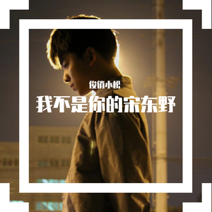 我不是你的宋冬野（翻自 東文先生）