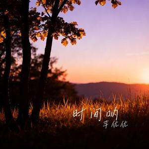 时间呐 (Cover 王佳音)