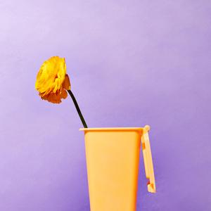 Shut It Down (Jimmy Jolliff Remix)