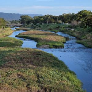 生命の調和と共生(World Peace Song)