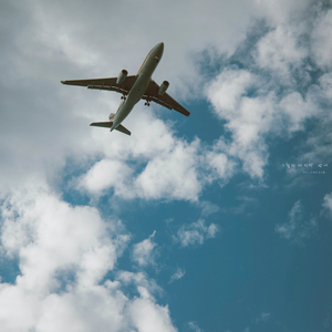 1월의 마지막 밤에