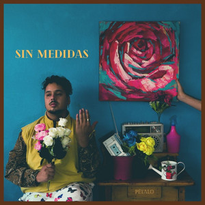 Sin Medidas