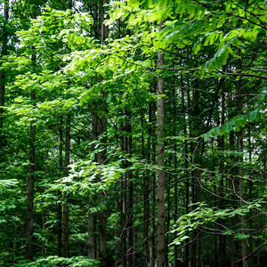 放松平缓舒适的音乐(纯音乐|经典版)