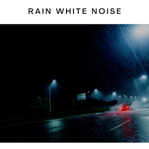 Rain Forest Meditation