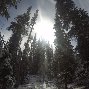 私たちは王でした