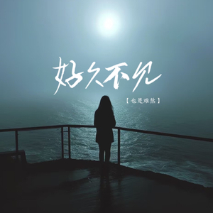 好久不见