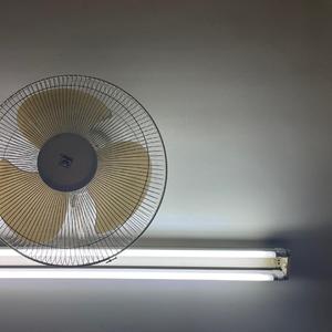 クズ男の肉体-嘘に陥るらん