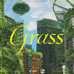 Grass (feat. Seann Bowe)