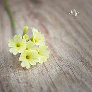 轻轻心动 (钢琴曲)