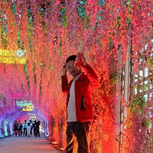 雨后的重逢之心依旧