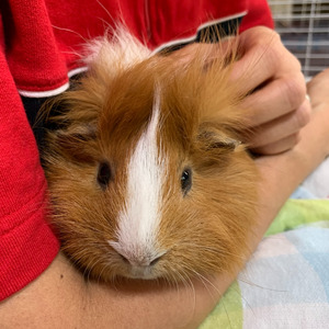 ずっと一緒だよ