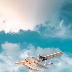 我们再见会是哪年哪月哪一天