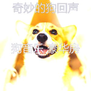 微妙的睡狗心情