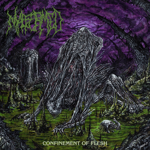 Obscure Wails from Beyond