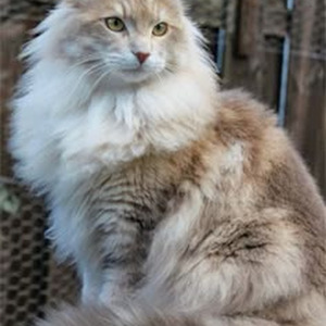 It's Pouring (nightcore)