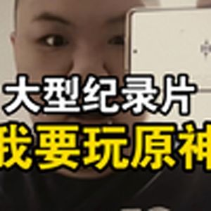 大型纪录片《我要玩原神》