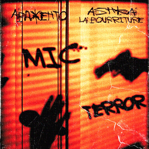 Mic Terror