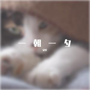 一世情缘（12）