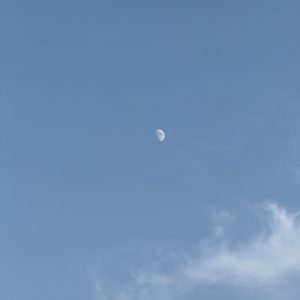 秋雨孤亭残荷风