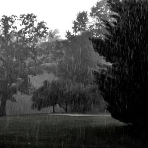 "暴风雨" Regalia Type Beat
