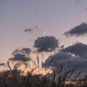 心做し（翻自 GUMI）