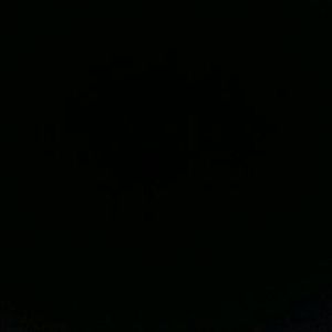 《达尔文》Cover：蔡健雅