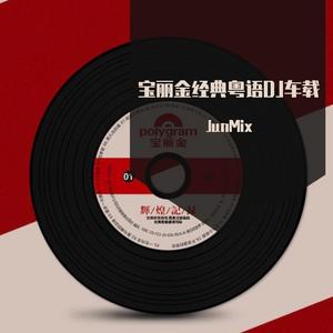 JunMix-MP4（JunMix remix）