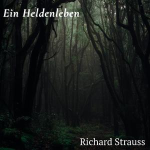 Ein Heldenleben (Violin Solo) (feat. Richard Strauss)