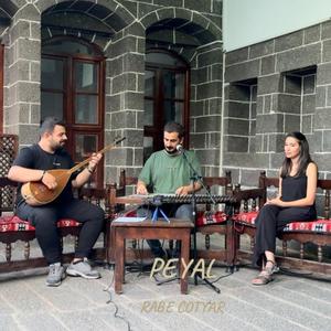 Rabe Cotyar
