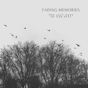 Fading Memories