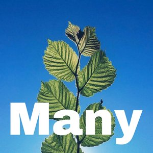 Manymore