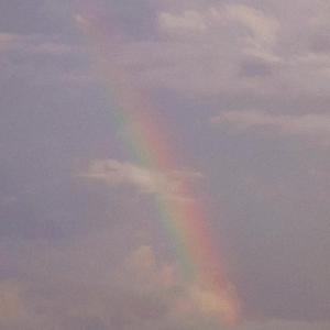 今晩はお月さん