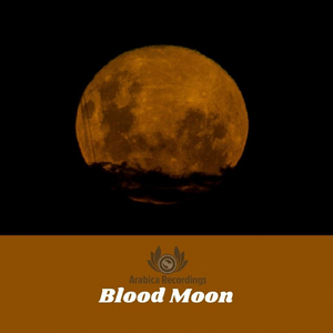 Sploosh (Kenji Max Remix)