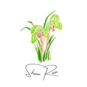 春蘭 (feat. HIDEAKI DOMON)