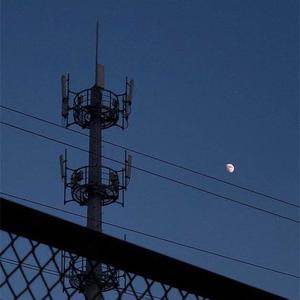 太平洋西岸的歌