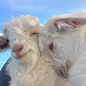 最亲爱的你-历十涵（cover范玮琪）