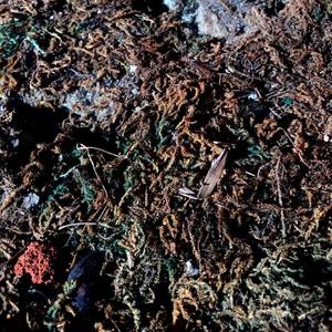 Avicii / Bad Zu / Karelle / Various Artists / Lama Tashi / 陈伟伦 / Bad Zu / TEE / Griffit Vigo / MHD / Dotorado Pro / Bad Ramires / Nuboid / Various Artists-REBIRTH aiaiai&fever2021mix（metaH remix）